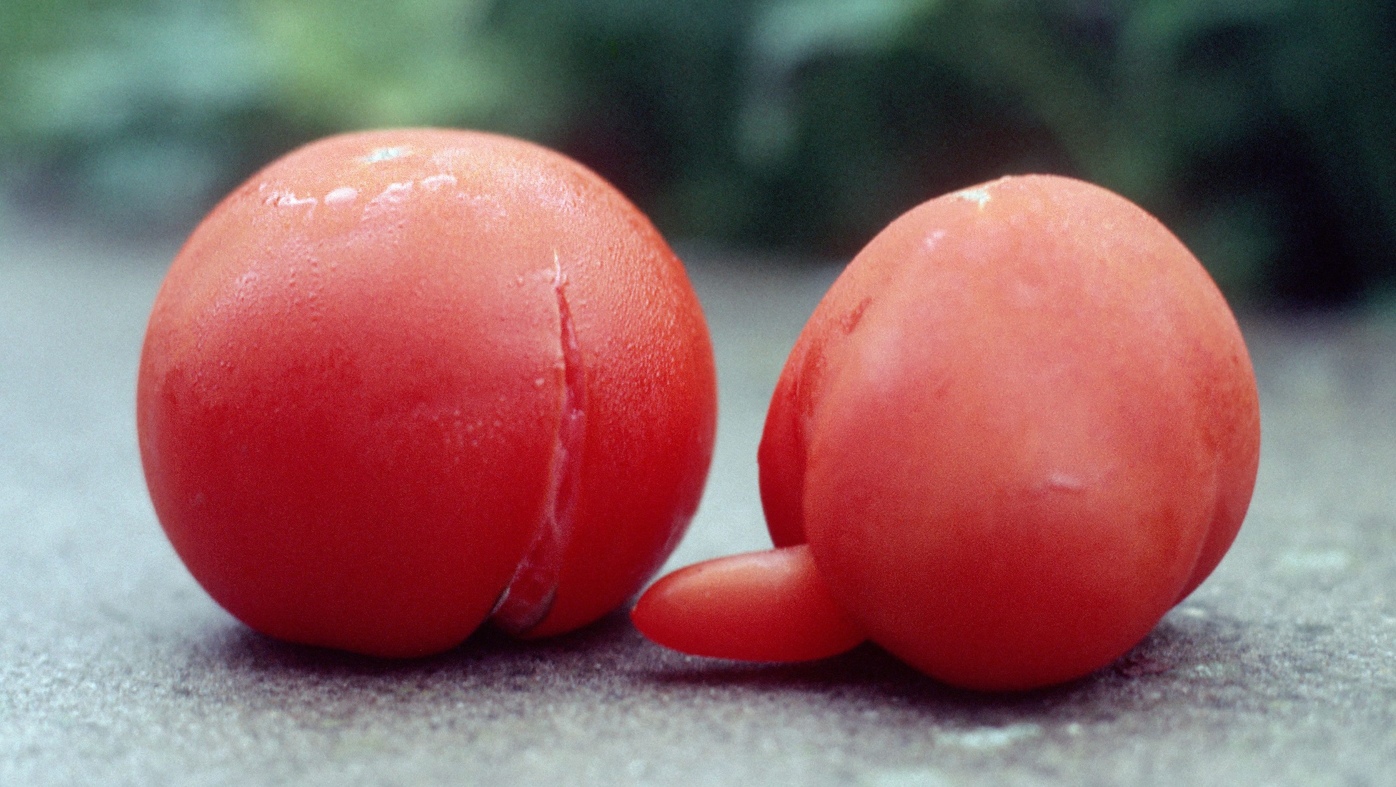 Tomaten kreuzweise