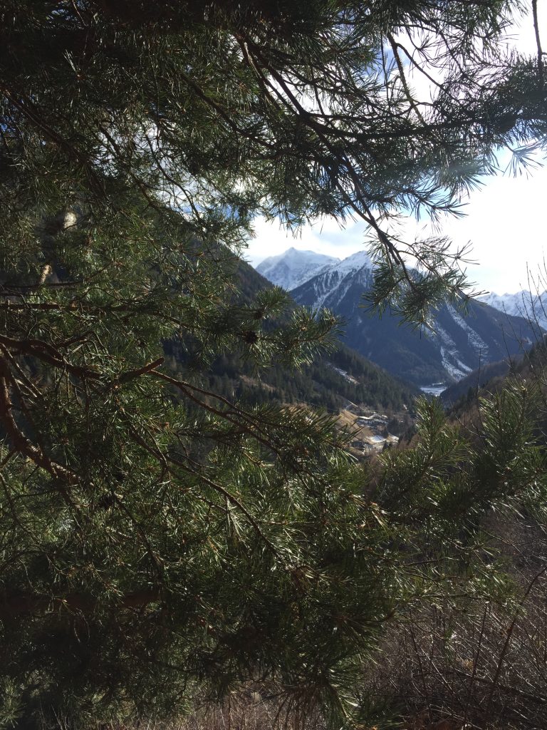 Auf einem der Waalwege nach Stilfs erblickt man immer wieder den König der Berge , den Ortler mit seinen 3940 HM.